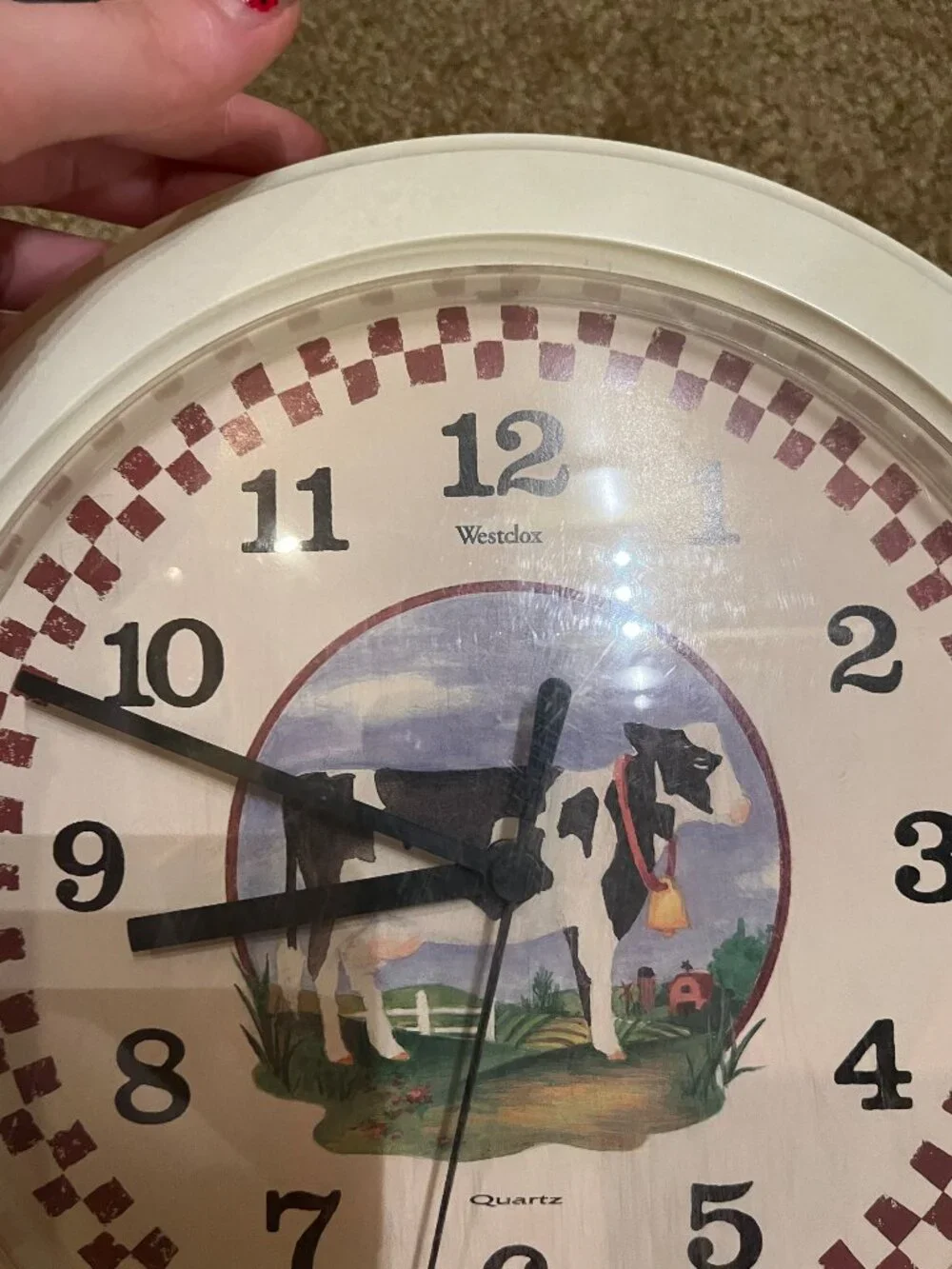 N/A lot cow
